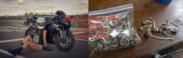 соль курить ск Новодвинск