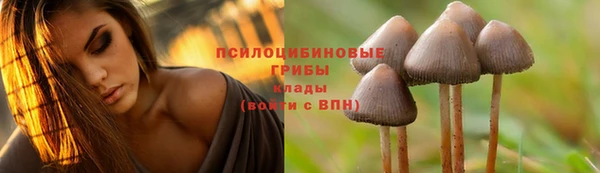 соль курить ск Новодвинск