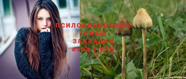 соль курить ск Новодвинск