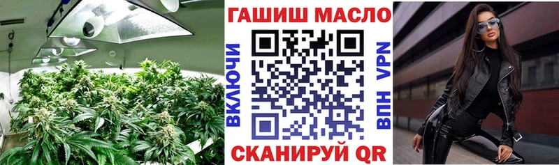 продажа наркотиков  hydra зеркало  ТГК гашишное масло  Костомукша 