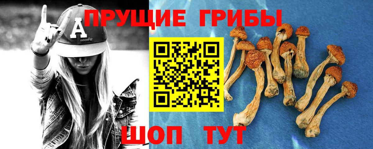 Псилоцибиновые грибы прущие грибы  Вход с VPN  Костомукша 